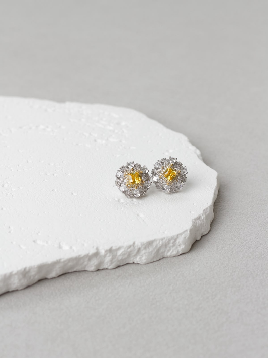 Silver & Gold Earrings